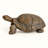 Walking Tortoise Garden Statue