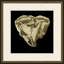 Sponge on Black II Framed Painting