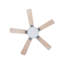 Arsav 130cm Ceiling Fan with LED Lights-1735100069