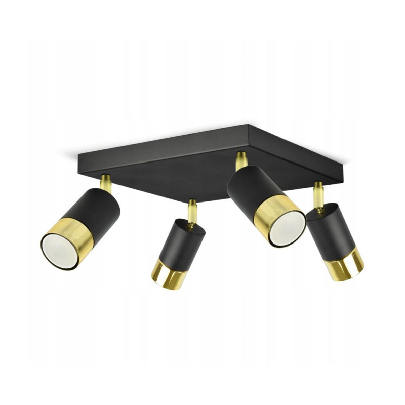 Alexey Spotlight, Black/Gold