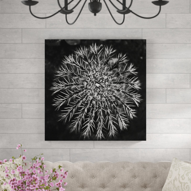 «Vintage Succulent III» par Barclay Butera - impression, H 36 po x l 36 po x P 1,5 po, Plexi