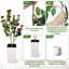 Plant-1461763213