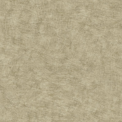 Pampas Plain Brushed Texture Olive Grey Wallpaper