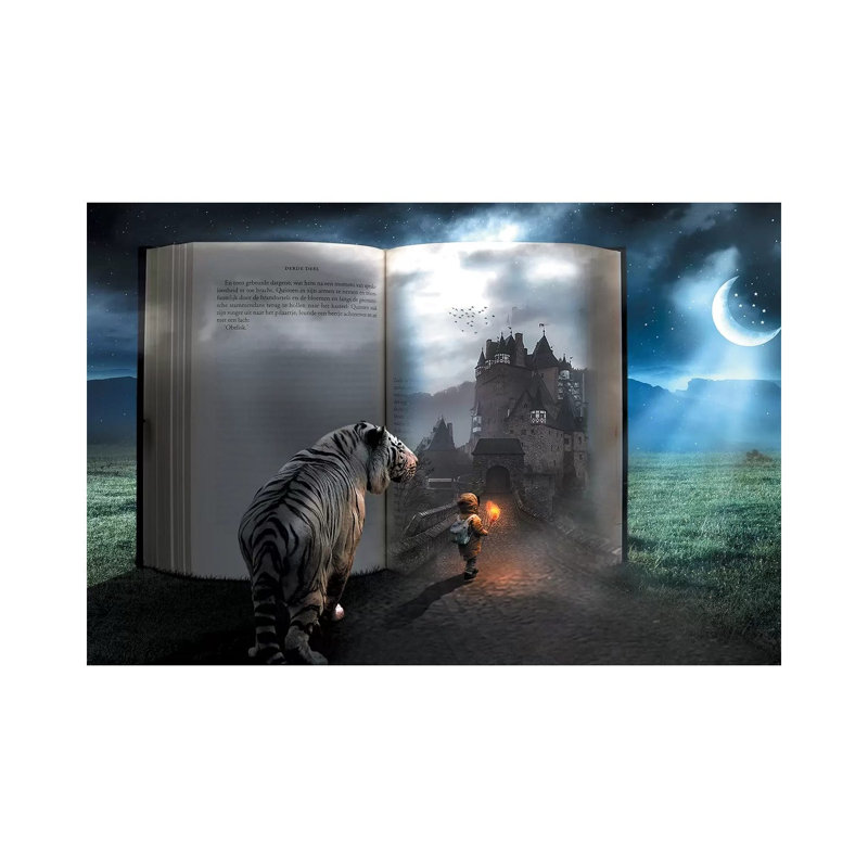 Fairy Tale Book by Zenja Gammer - Print on Canvas, Wrapped Canvas, 30.48 cm H x 45.72 cm W