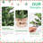 Malefatto 2FT Full PE Tabletop Christmas Tree with Branch Tips