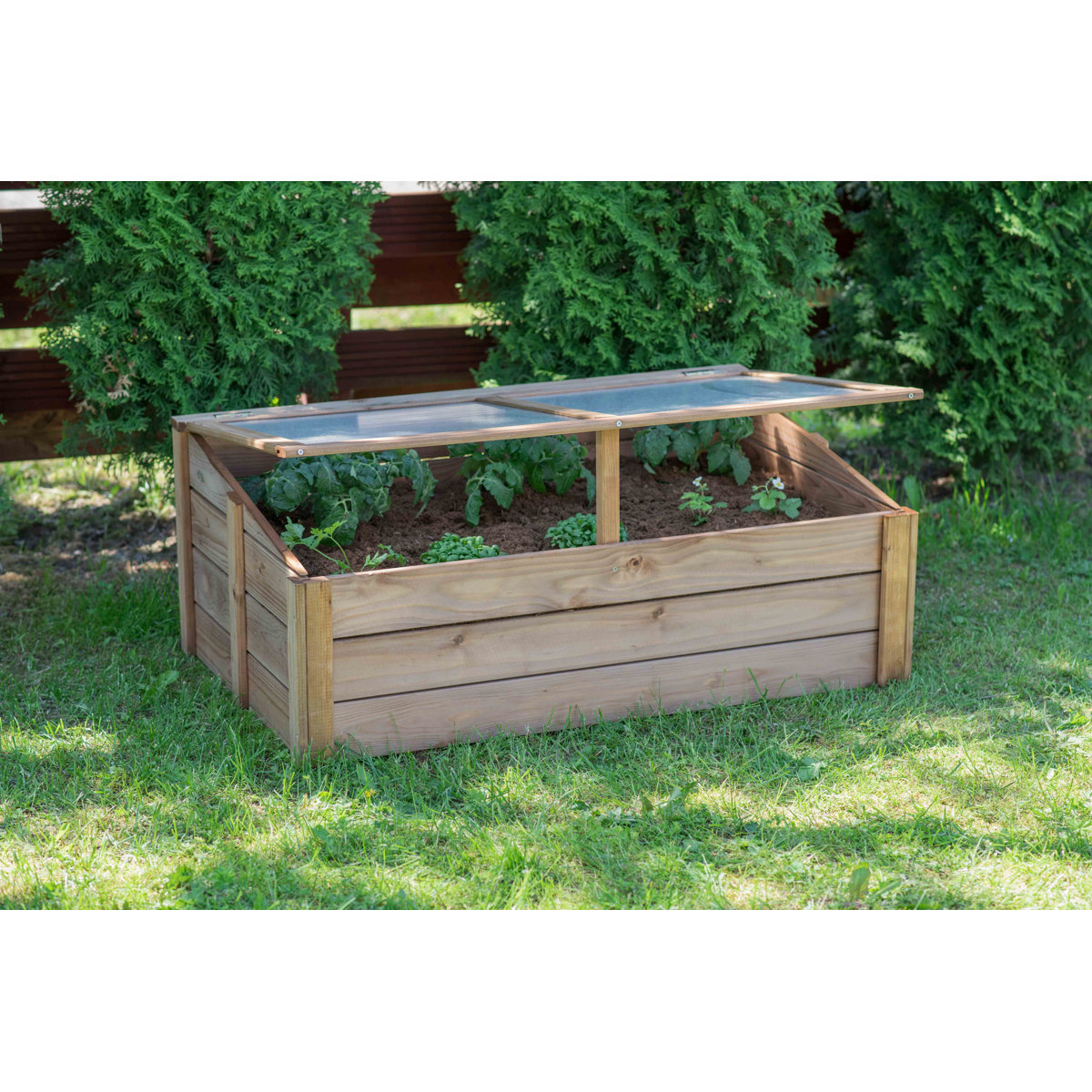 Tierra Garden Wooden Cold Frame