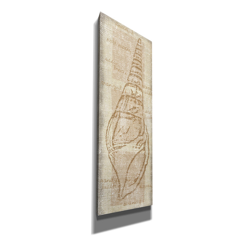  «Horn Shell» par Erin Clark, art mural sur toile, 12 po x 36 po