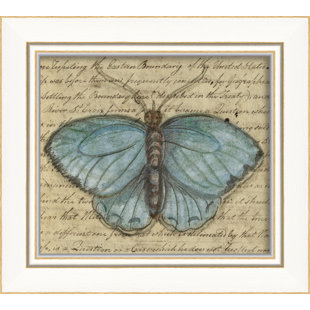 « papillon », impression encadrée