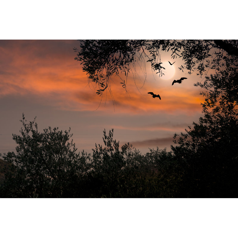 Halloween, coucher de soleil - Photographie sur toile tendue, H 8 po x l 12 po