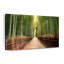Forêt de bambou japonaise sur toile-948485740