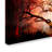 " Cottonwood Tree Part 10 " by LightBoxJournal-21935267