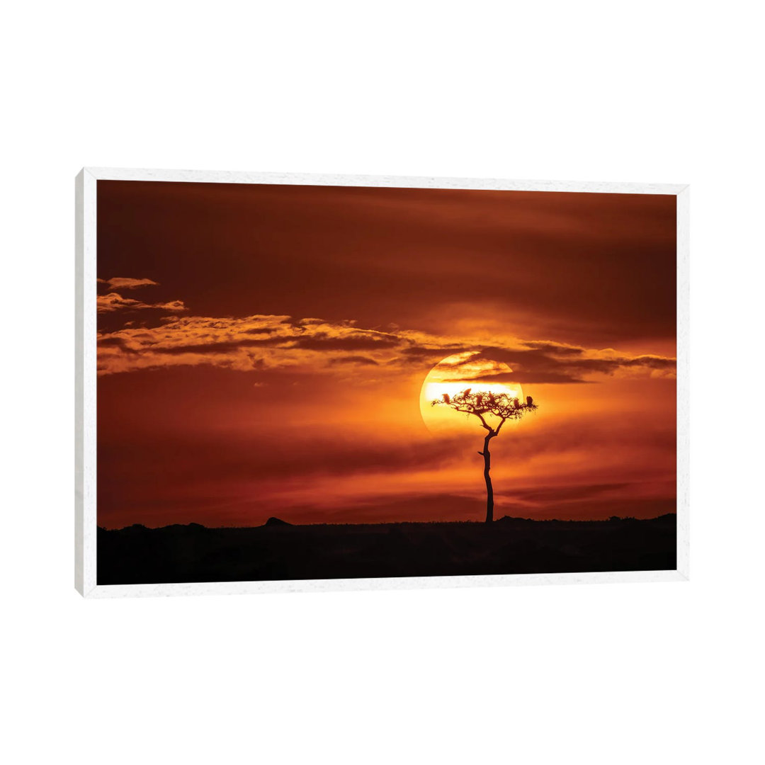 Vultures In A Tree At Sunset, Masai Mara von Jane Rix - Gallery-Wrapped Canvas Giclée on Canvas