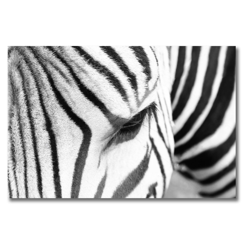 Œil du zèbre par DecorumBY - photographie sans cadre, Acrylique, H 16 po x l 20 po x P 1,5 po