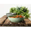 2350ml Dining Bowl-106869707