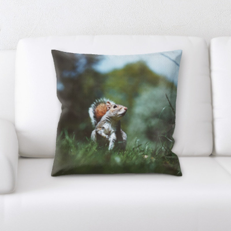 Coussin écureuil
