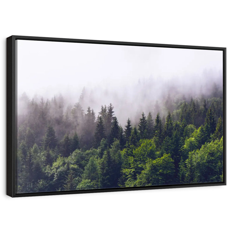 Misty Pine Forest, 9" H x 13" W
