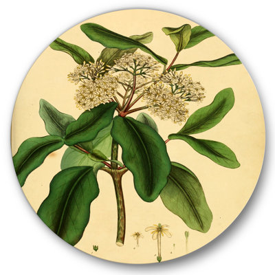 «Vintage Plant Life I», art mural traditionnel en métal