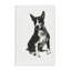 Dessin de chien gris anthracite par Cartissi-1491185457