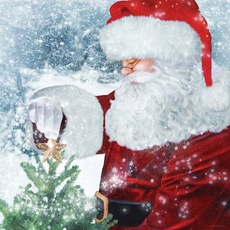 Santa Tree Star - impression, H 20 po x l 20 po, Non, Toile tendue