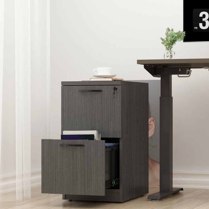 15.67'' Wide 2 -Drawer File Cabinet, Licorice