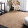 Patrick Performance Oriental Rug