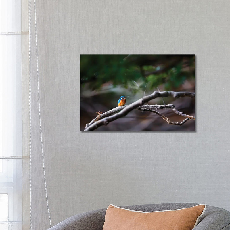 Kingfisher 1 Piece Wrapped Canvas Wall Art, 66.04 cm H x 45.72 cm W x 3.175 cm D