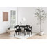 Celeste Dining Set