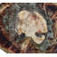 Fossil Placemat