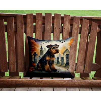 Other/No Pattern Outdoor Throw Pillow