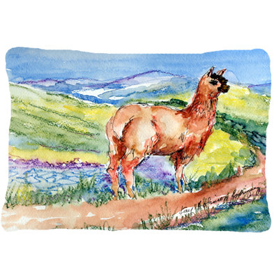 Lama Oreiller Intérieur / Extérieur