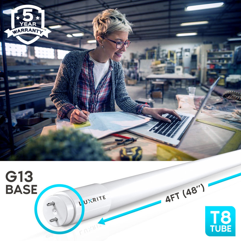 13 watts (32 watts équivalents), DEL T8, ampoule à intensité variable, culot G13 / à deux broches, 6 500 K