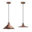 Stankiewicz 1 - Light Copper Single Pendant