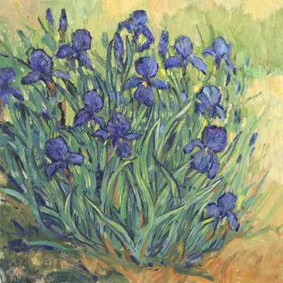 «Irises in Bloom II» par Timothy O 'Toole - peinture sur toile tendue