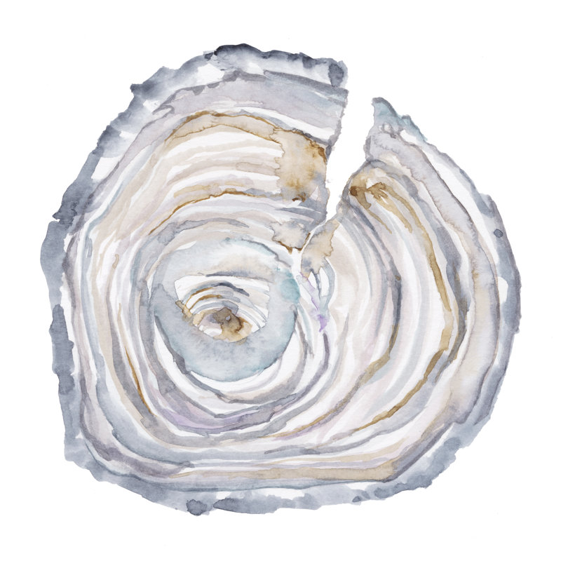 Tree Ring II by Ethan Harper - Wrapped Canvas Painting, 30cm H x 30cm W