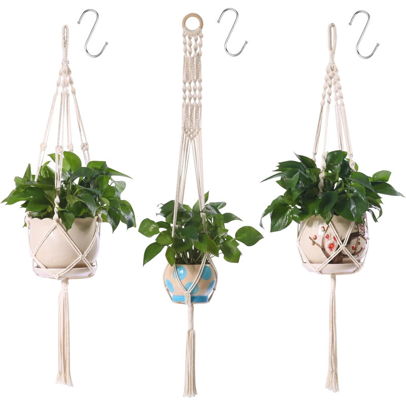 Plant Hanger