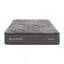 COFFRET EN MOUSSE 12 "-1497757645-1497757634