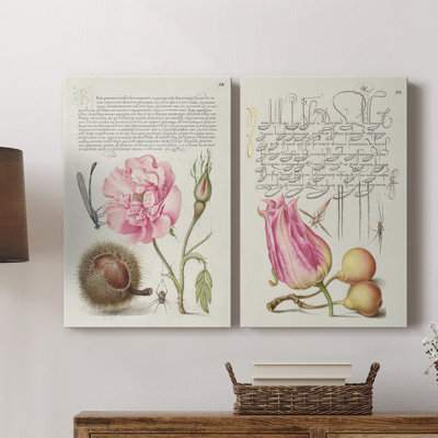 Toile tendue Hoefnagel - spéculations tropicales II - qualité supérieure - prêt à accrocher
