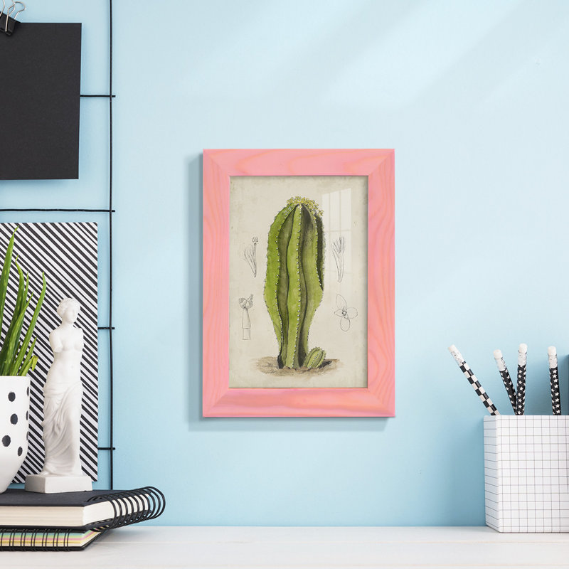 " Antique Cactus VI ", Pink, 8" H x 6" W x 1" D