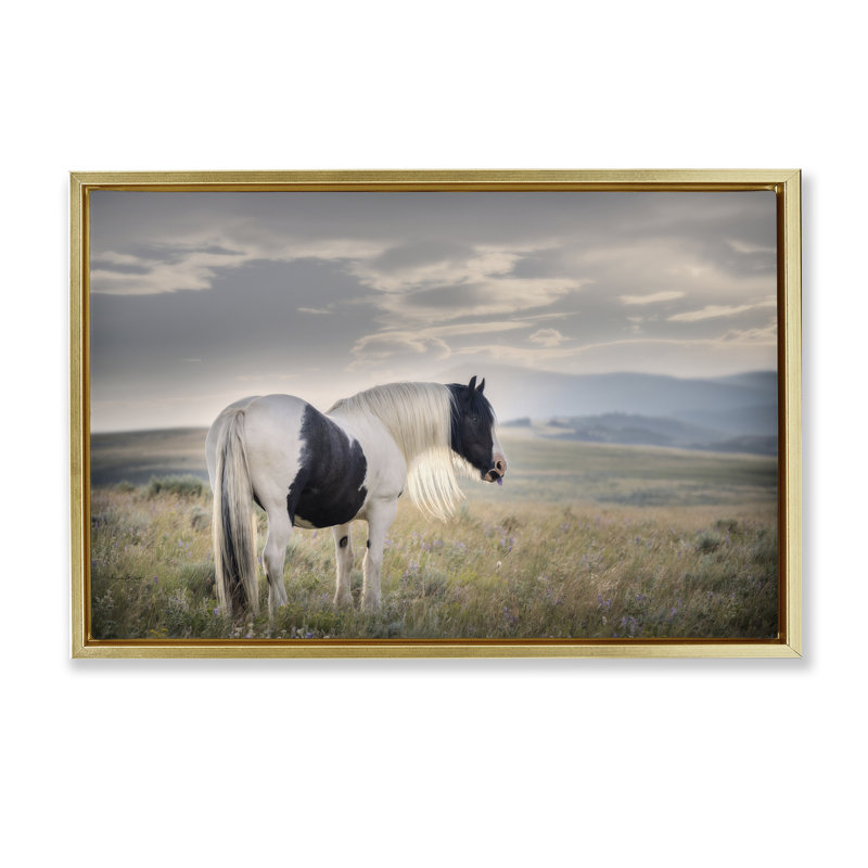 Art mural en toile encadrée "Spotted Horse on Sunny Terrain", par PHBurchett, 21" H x 31" W, Cadre flottant métallique doré