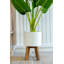 Palmier artificiel 18,75 "en pot