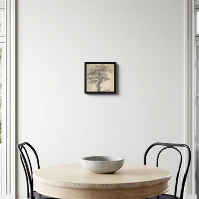 Study Of A Tree Print by Jean Baptiste Pillement