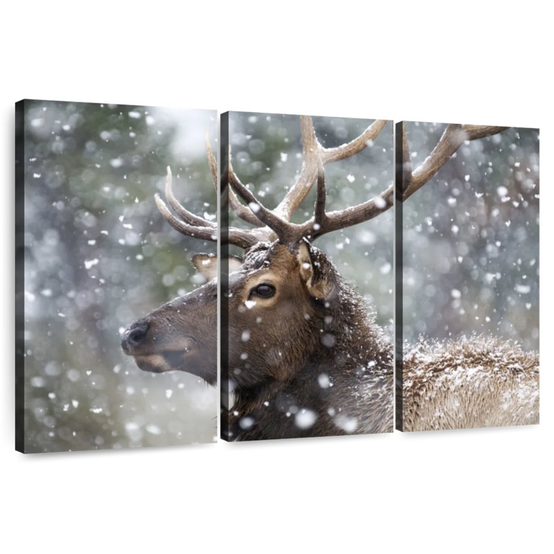 Brampt Winter Snow Elk, 36" H x 57" W