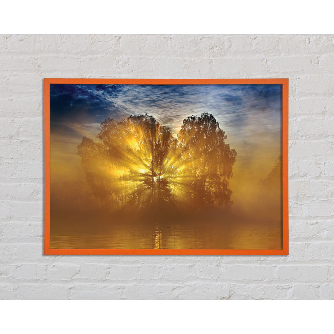 Golden Sunburst Tree - Druck