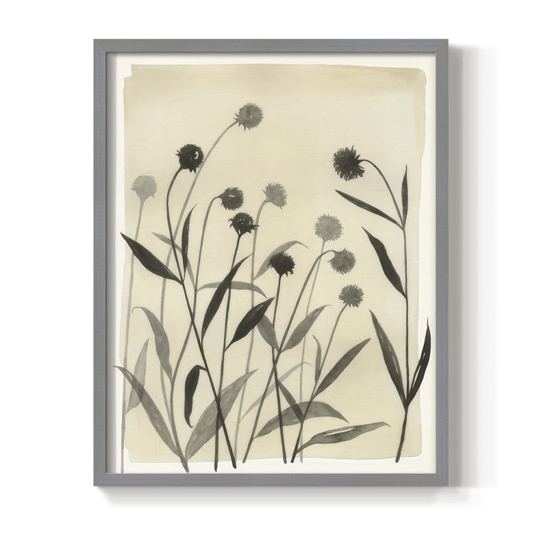 Summer Echinachea I Framed Print - Solid Wood, Gris, H 21 po x l 17 po