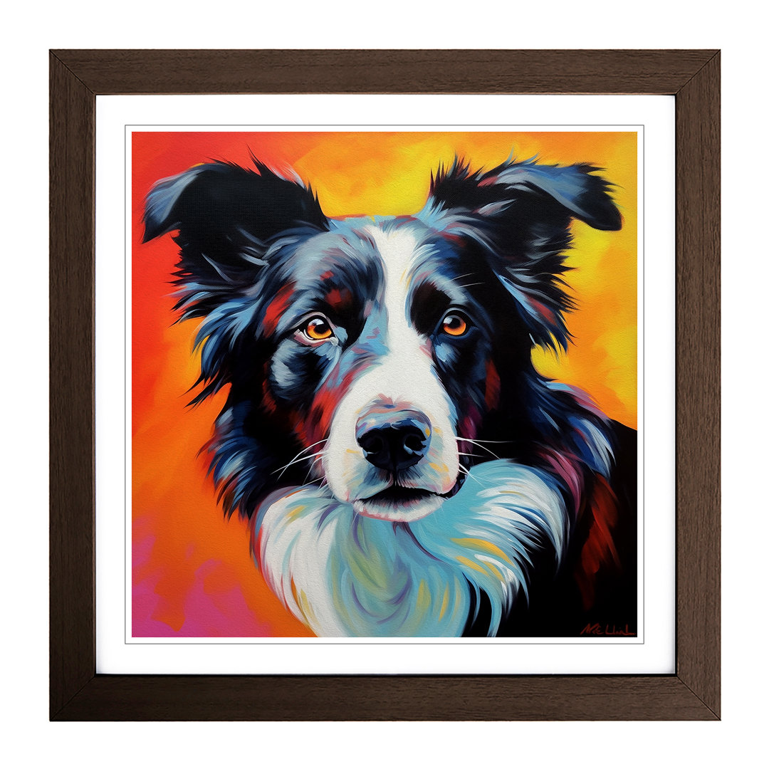 Border Collie Color Field Painting - Framed Print