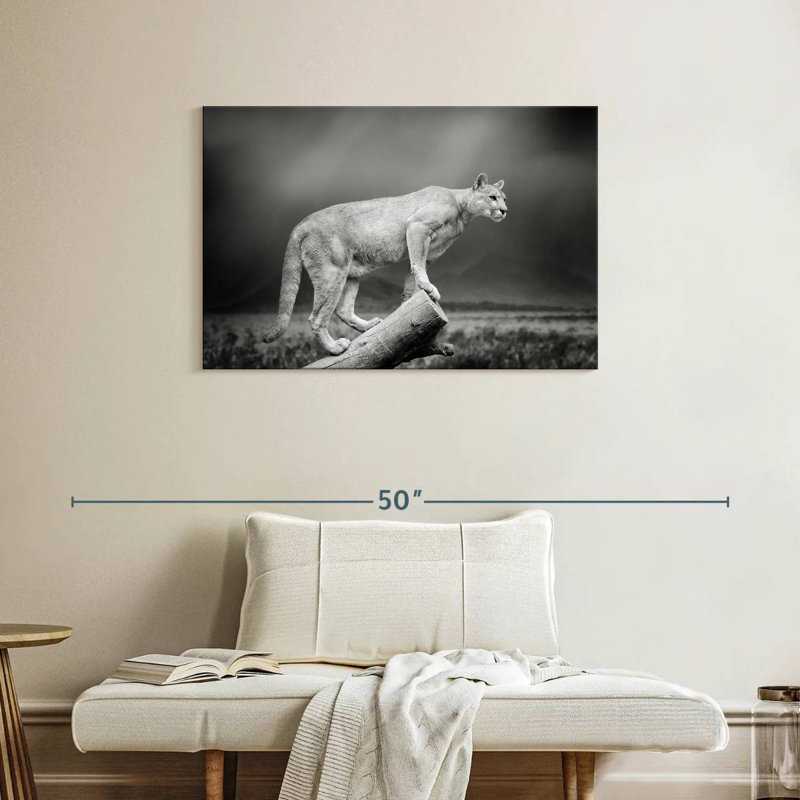 Crowle Dramatic Cougar, 24" H x 36" W