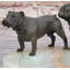 Bronze Bulldog & Pug Dog Figurines on - Soap Dish Ashtray Handmade Art