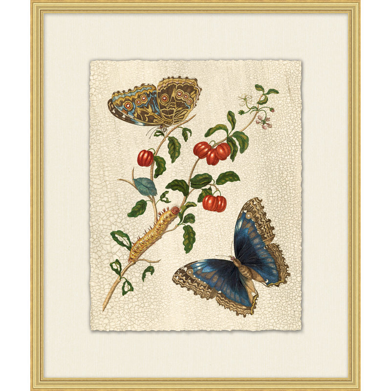 Nature prévalente 5 - Peinture avec cadre