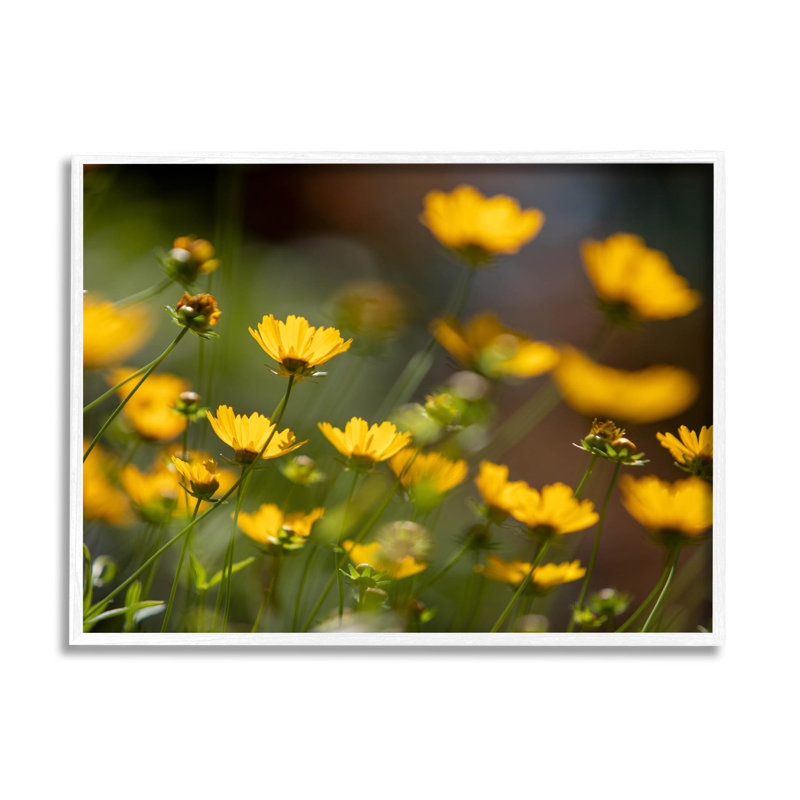 Art de la giclée champ jaune, jaune, par Aaron Matheson, H 16 po x l 20 po x P 1,5 po, Giclée encadrée blanc bord de mer