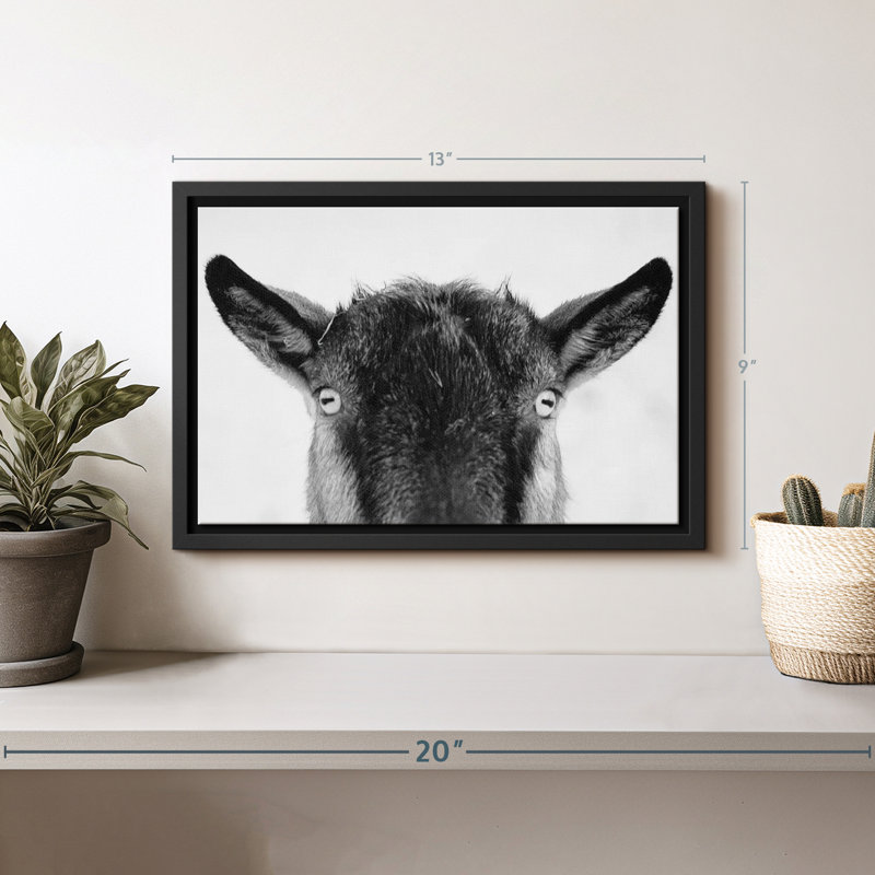 «Peeking Black Goat», art mural, H 9 po x l 13 po